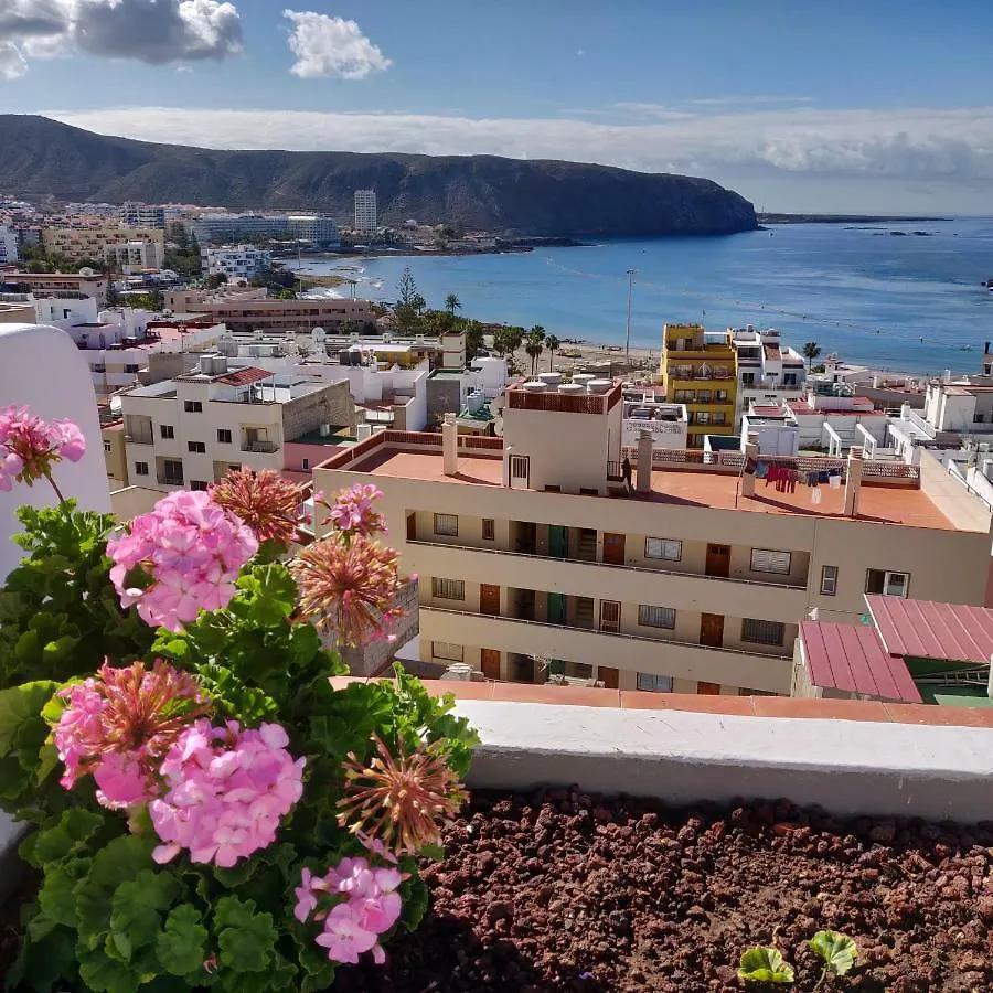 Cactus Los Cristianos Villa Los Cristianos  Сasa de vacaciones